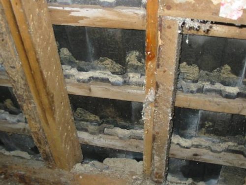 Roof rafters that have been attacked by woodworm.