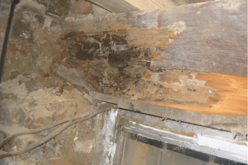 Dry Rot affected timber beam