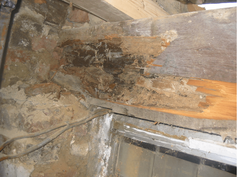 Beam in need of dry rot repair treatment.