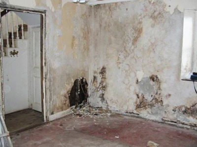 Rising Damp Effects in a House