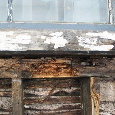 Wet Rot found in a wooden wall structure.